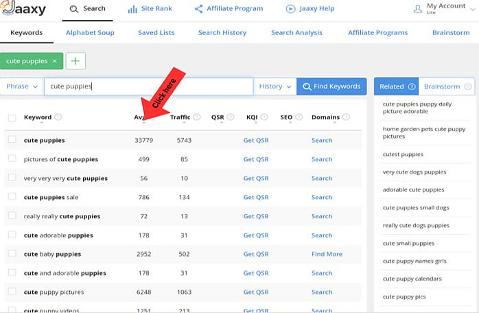 Jaaxy Average Monthly Search Ordered List